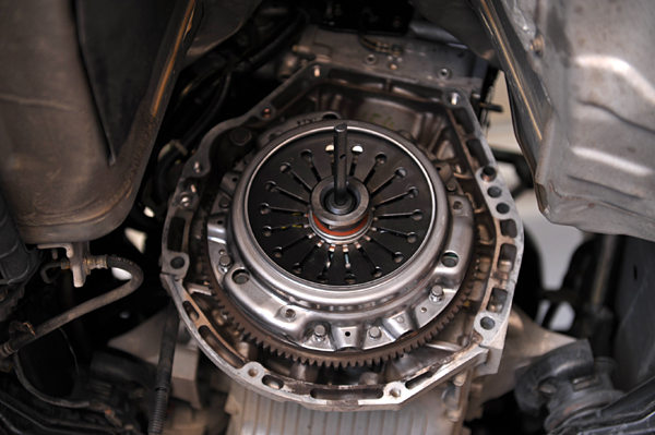 120115 Prince 1 DSC_0630.jpg